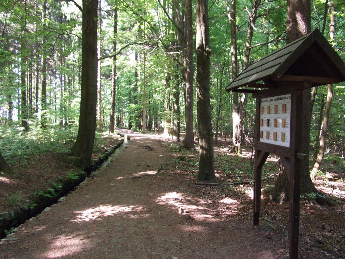 Ferienwohnung Erzgebirge - Pobershau - Mit Schoenem Ausblick, Ruhige, Beste Lage Extérieur photo