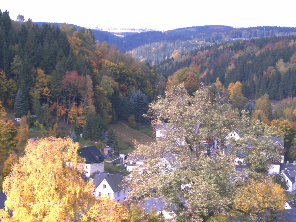 Ferienwohnung Erzgebirge - Pobershau - Mit Schoenem Ausblick, Ruhige, Beste Lage Extérieur photo